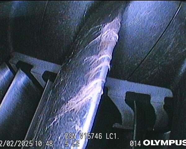 AOG Birdstrike BSI Inspection Thailand